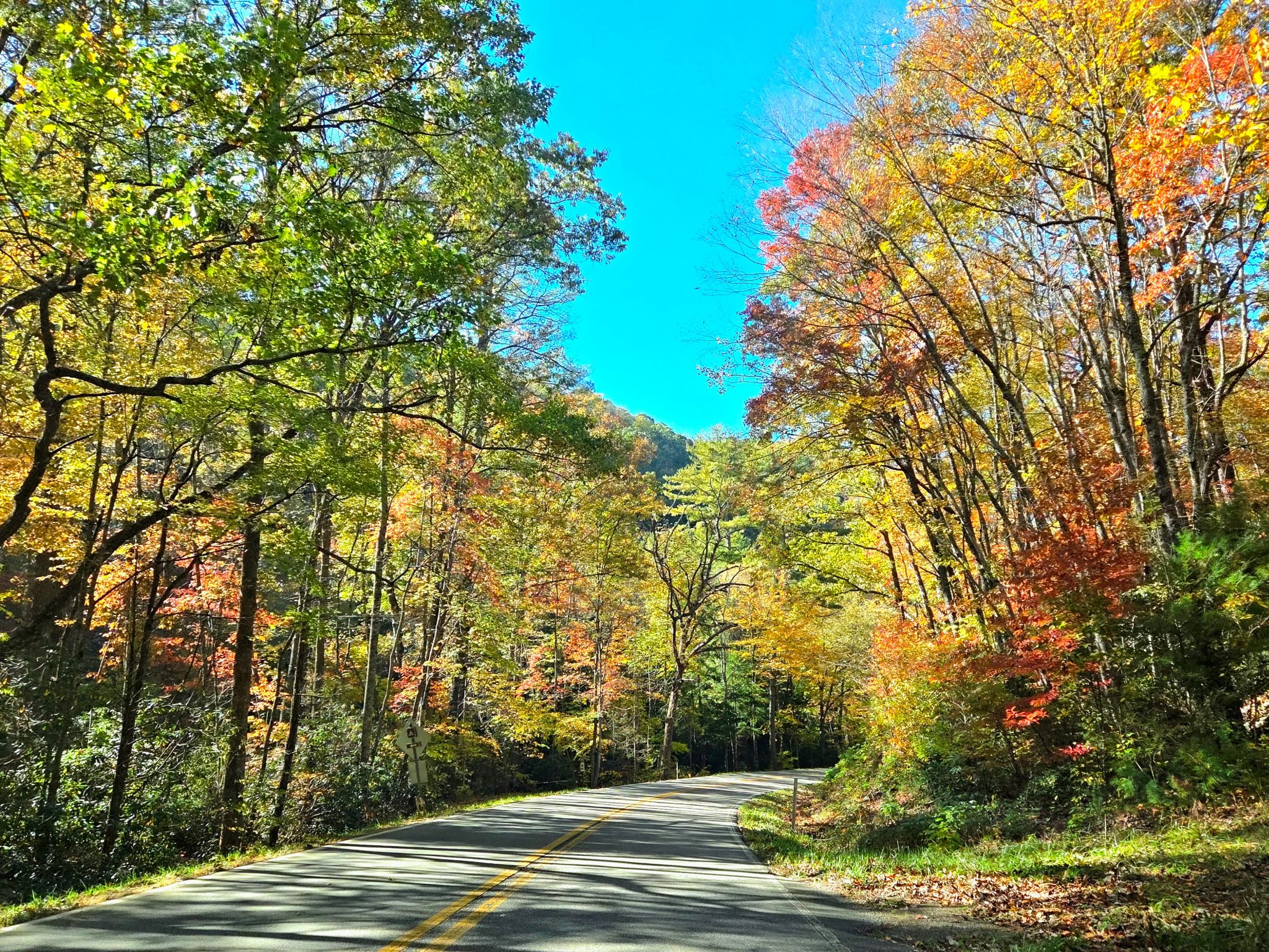 Autumn Foliage along the Route