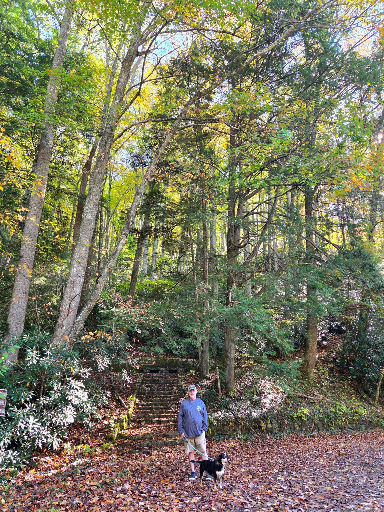 Fall Mountain Vista